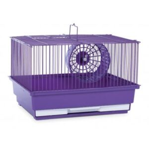 98003 Travel Carrier, Purple Bird Carrier, Bird Travel Cage, Parrot Travel Carrier, Portable Bird Cage, Companion Bird Transport Box, Cockatiel Carrier, Conure Carrier, Parakeet Travel Cage, Lovebird Carrier, Bird Vet Carrier, Secure Bird Carrier, Small Bird Travel Cage, Medium Bird Carrier, The Parrots Exotic Store