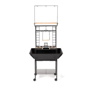 interactive parrot perch, small parrot playstand, tabletop parrot perch, Conure playstand, Cockatiel enrichment stand, Lovebird activity perch, bird exercise stand, The Parrots Exotic Store, safe parrot play area, parrot enrichment perch