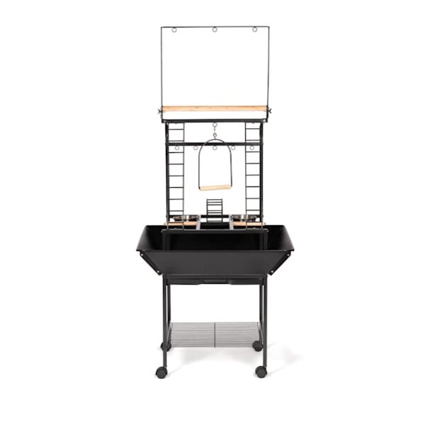 interactive parrot perch, small parrot playstand, tabletop parrot perch, Conure playstand, Cockatiel enrichment stand, Lovebird activity perch, bird exercise stand, The Parrots Exotic Store, safe parrot play area, parrot enrichment perch interactive parrot perch, small parrot playstand, tabletop parrot perch, Conure playstand, Cockatiel enrichment stand, Lovebird activity perch, bird exercise stand, The Parrots Exotic Store, safe parrot play area, parrot enrichment perch