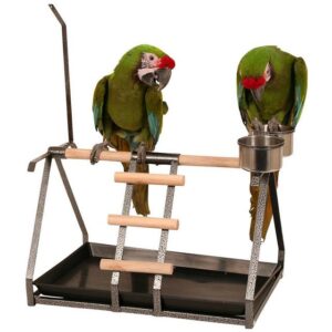 Practical and portable table top stand for Parrots.