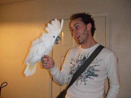 How to rehome your exotic birds

Responsible parrot rehoming

Safe exotic bird placement

Ethical bird rehoming

Parrot rehoming guidance

The Parrots Exotic Store