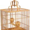 medium plastic songbird cage, square bird cage for finches, budgie cage medium size, lovebird cage plastic, small parrot cage, easy clean bird cage, The Parrots Exotic Store, durable songbird cage, safe bird cage, small bird home
