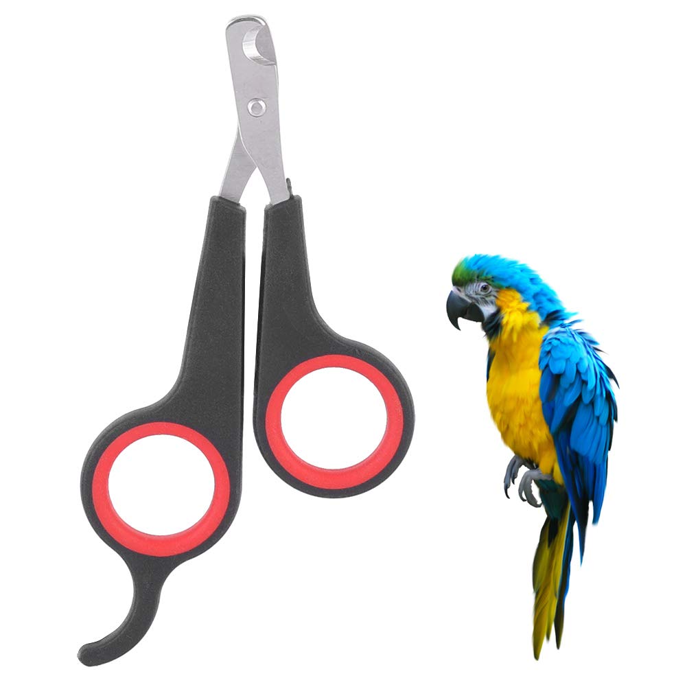 How to trim beaks and nails for exotic birds

Parrot nail trimming guide

Exotic bird grooming tips

Safe beak trimming for parrots

Bird nail care

The Parrots Exotic Store