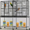 parrot flight cage, large parrot cage, aviary cage for parrots, medium-large parrot habitat, The Parrots Exotic Store bird cages, enriched parrot home parrot flight cage, large parrot cage, aviary cage for parrots, medium-large parrot habitat, The Parrots Exotic Store bird cages, enriched parrot home