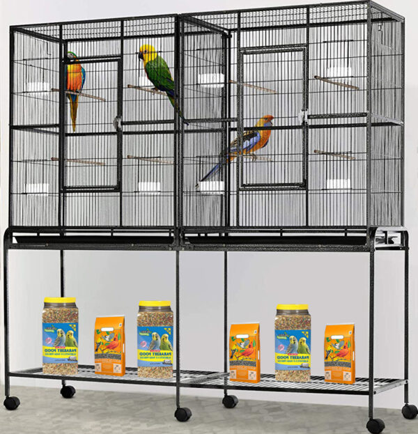 parrot flight cage, large parrot cage, aviary cage for parrots, medium-large parrot habitat, The Parrots Exotic Store bird cages, enriched parrot home parrot flight cage, large parrot cage, aviary cage for parrots, medium-large parrot habitat, The Parrots Exotic Store bird cages, enriched parrot home