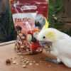 oriental nut mix, parrot treats, bird snacks, medium parrot food, large parrot treats, natural parrot treats, high-protein bird snack, foraging parrot treat, African Grey parrot snack, Amazon parrot treats, Macaw treats, Cockatoo treats, Eclectus treats, enrichment parrot food, healthy parrot snack, The Parrots Exotic Store, training parrot treats, interactive bird snack oriental nut mix, parrot treats, bird snacks, medium parrot food, large parrot treats, natural parrot treats, high-protein bird snack, foraging parrot treat, African Grey parrot snack, Amazon parrot treats, Macaw treats, Cockatoo treats, Eclectus treats, enrichment parrot food, healthy parrot snack, The Parrots Exotic Store, training parrot treats, interactive bird snack