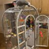 60ac1e68e4b092783d00e2a4-e1770732868683 Toronto Corner Parrot Large Cage