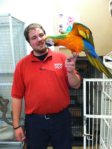 How to rehome your exotic birds Responsible parrot rehoming Safe exotic bird placement Ethical bird rehoming Parrot rehoming guidance The Parrots Exotic Store