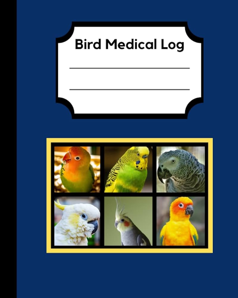 How to rehome your exotic birds

Responsible parrot rehoming

Safe exotic bird placement

Ethical bird rehoming

Parrot rehoming guidance

The Parrots Exotic Store