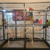 parrot flight cage, large parrot cage, aviary cage for parrots, medium-large parrot habitat, The Parrots Exotic Store bird cages, enriched parrot home parrot flight cage, large parrot cage, aviary cage for parrots, medium-large parrot habitat, The Parrots Exotic Store bird cages, enriched parrot home