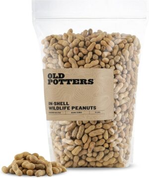 peanuts in shell for parrots, bulk parrot peanuts, foraging peanuts for birds, macaw peanut treats, african grey enrichment food, natural parrot snacks, whole peanuts for birds, bird foraging bulk food, The Parrots Exotic Store, beak conditioning treats