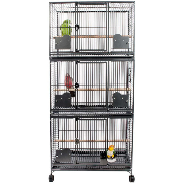 multi-bird parrot cage, large parrot habitat, durable parrot cage, spacious bird cage, The Parrots Exotic Store cages, parrot enrichment cage