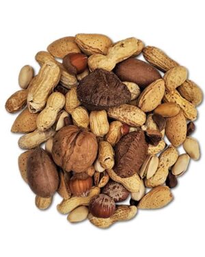 Boca Nuts (In Shell), Parrot Treats, Large Parrot Snack, Foraging Nuts, Bird Enrichment Food, Medium Parrot Treat, Nutritious Parrot Food, Bird Safe Treat, The Parrots Exotic Store Boca Nuts (In Shell), Parrot Treats, Large Parrot Snack, Foraging Nuts, Bird Enrichment Food, Medium Parrot Treat, Nutritious Parrot Food, Bird Safe Treat, The Parrots Exotic Store