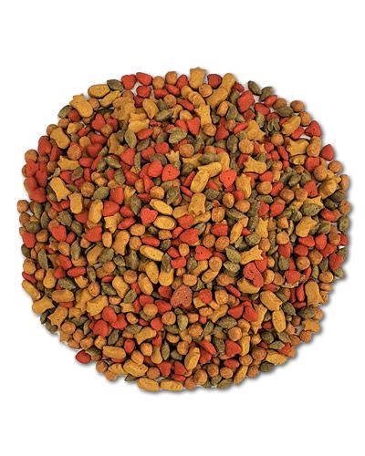 1oz Millet Bits, Higgins Snack Attack, Small Bird Treat, Parrot Training Treat, Medium Bird Snack, Enrichment Bird Food, Hand-Feeding Treat, Bird Safe Snack, The Parrots Exotic Store