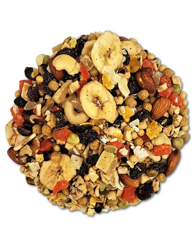 Fruit to Nuts, Higgins, Bird Snack, Parrot Treat, Small Bird Enrichment, Medium Parrot Treat, Training Bird Treat, Bird Safe Snack, The Parrots Exotic Store