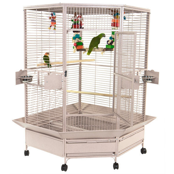 large parrot cage, corner parrot cage, spacious bird cage, durable parrot home, medium-large parrot habitat, The Parrots Exotic Store cages large parrot cage, corner parrot cage, spacious bird cage, durable parrot home, medium-large parrot habitat, The Parrots Exotic Store cages