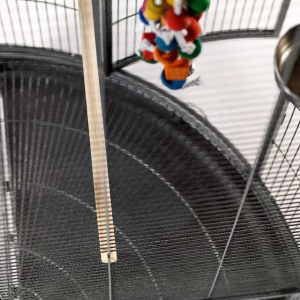 Discovery-Corner-Parrot-Cage-with-Play-Gym-Top-Antique-1-300x300-2.jpg Corner Parrot Cage with Play Gym Top – Antique