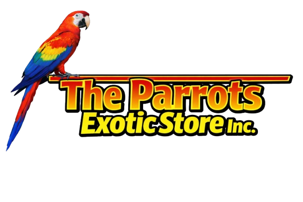 Exotic_logo