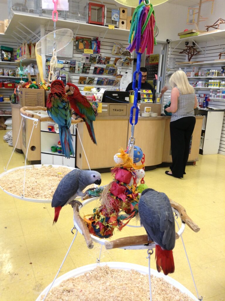 The Parrot Store Exotic