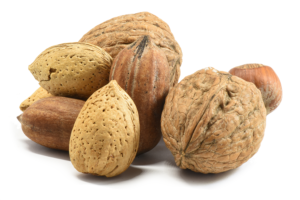 mixed nuts for parrots, out-of-shell nuts for birds, parrot treats, bird snacks, medium parrot food, large parrot treats, high-protein bird food, natural parrot treats, foraging parrot snack, African Grey parrot treat, Amazon parrot snack, Macaw treats, Cockatoo treats, Eclectus treats, enrichment parrot food, healthy parrot snack, The Parrots Exotic Store, training parrot treats, interactive bird snack, premium parrot treats