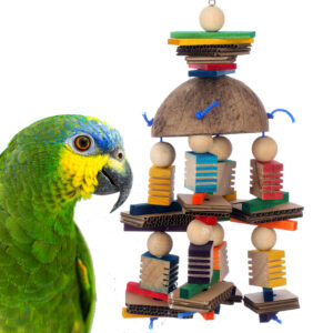 Hagen HARI, HARI Smart Play, Coconut Merry Go Round, Coconut Parrot Toy, Parrot Foraging Toy, Foraging Bird Toy, Enrichment Toy for Parrots, Interactive Parrot Toy, Medium Parrot Toy, Indian Ringneck Toy, Conure Toy, Caique Toy, Senegal Parrot Toy, Amazon Parrot Toy, Bird Chew Toy, Natural Bird Toy, Exotic Bird Toy, Parrot Cage Toy, Exercise Toy for Parrots, Smart Play Bird Toy, Parrot Accessories, Bird Enrichment Toy, The Parrots Exotic Store Hagen HARI, HARI Smart Play, Coconut Merry Go Round, Coconut Parrot Toy, Parrot Foraging Toy, Foraging Bird Toy, Enrichment Toy for Parrots, Interactive Parrot Toy, Medium Parrot Toy, Indian Ringneck Toy, Conure Toy, Caique Toy, Senegal Parrot Toy, Amazon Parrot Toy, Bird Chew Toy, Natural Bird Toy, Exotic Bird Toy, Parrot Cage Toy, Exercise Toy for Parrots, Smart Play Bird Toy, Parrot Accessories, Bird Enrichment Toy, The Parrots Exotic Store