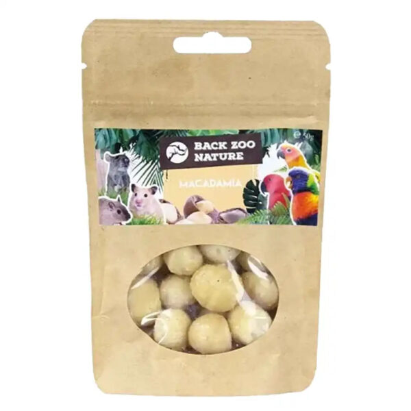 macadamia nuts, parrot treats, bird snacks, medium parrot food, large parrot treats, natural parrot treats, high-protein bird snack, foraging parrot treat, African Grey parrot snack, Amazon parrot treats, Macaw treats, Cockatoo treats, Eclectus treats, enrichment parrot food, healthy parrot snack, The Parrots Exotic Store, training parrot treats, interactive bird snack
