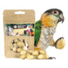 macadamia nuts, parrot treats, bird snacks, medium parrot food, large parrot treats, natural parrot treats, high-protein bird snack, foraging parrot treat, African Grey parrot snack, Amazon parrot treats, Macaw treats, Cockatoo treats, Eclectus treats, enrichment parrot food, healthy parrot snack, The Parrots Exotic Store, training parrot treats, interactive bird snack