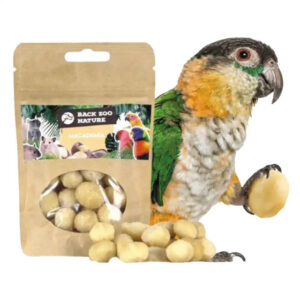 macadamia nuts, parrot treats, bird snacks, medium parrot food, large parrot treats, natural parrot treats, high-protein bird snack, foraging parrot treat, African Grey parrot snack, Amazon parrot treats, Macaw treats, Cockatoo treats, Eclectus treats, enrichment parrot food, healthy parrot snack, The Parrots Exotic Store, training parrot treats, interactive bird snack