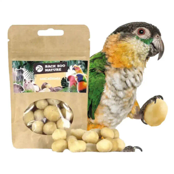 macadamia nuts, parrot treats, bird snacks, medium parrot food, large parrot treats, natural parrot treats, high-protein bird snack, foraging parrot treat, African Grey parrot snack, Amazon parrot treats, Macaw treats, Cockatoo treats, Eclectus treats, enrichment parrot food, healthy parrot snack, The Parrots Exotic Store, training parrot treats, interactive bird snack