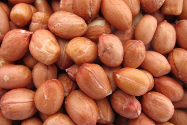 Spanish Peanuts (Out of Shell with Skin)