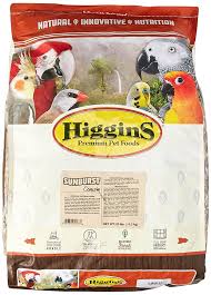 Sunburst3.jpeg Higgins Sunburst Conure