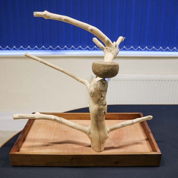 Beautiful, hand-finished coffee trees