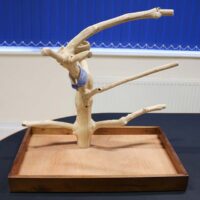 Beautiful, hand-finished coffee trees