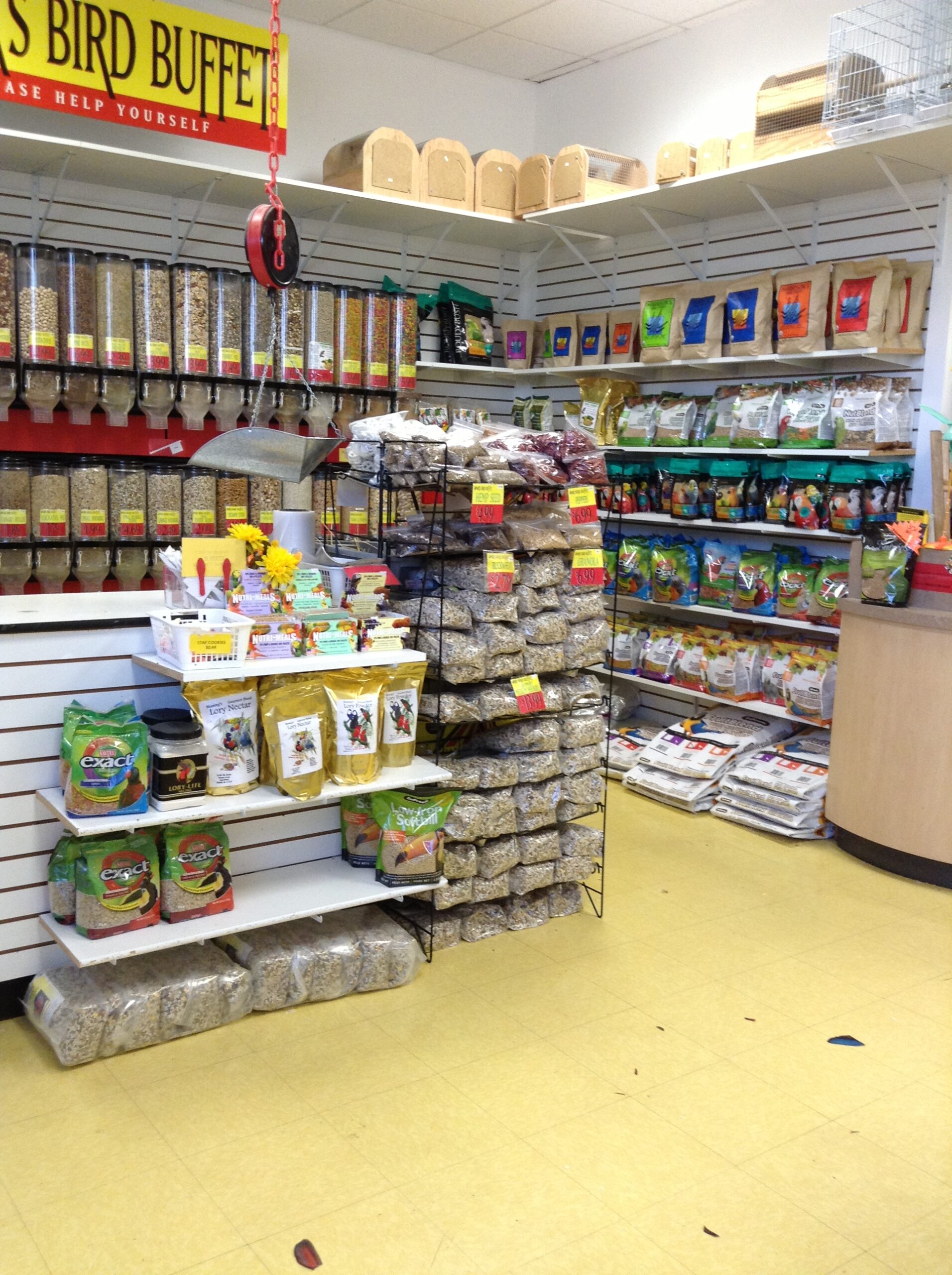 About Us - The Parrot Store