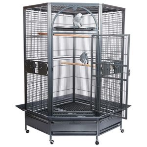 large parrot cage, corner parrot cage, spacious bird cage, durable parrot home, medium-large parrot habitat, The Parrots Exotic Store cages large parrot cage, corner parrot cage, spacious bird cage, durable parrot home, medium-large parrot habitat, The Parrots Exotic Store cages