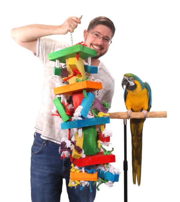 Large Bird Toy, Parrot Chew Toy, Parrot Enrichment Toy, Living World Junglewood Toy, Natural Bird Toy, Interactive Parrot Toy, Parrot Cage Toy, Medium Parrot Toy, Large Parrot Toy, African Grey Toy, Amazon Parrot Toy, Eclectus Parrot Toy, Conure Toy, Macaw Toy, Cockatoo Toy, Exotic Bird Toy, Bird Toys for Parrots, Parrot Accessories, Bird Supplies, The Parrots Exotic Store
