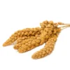 California Millet Spray Premium