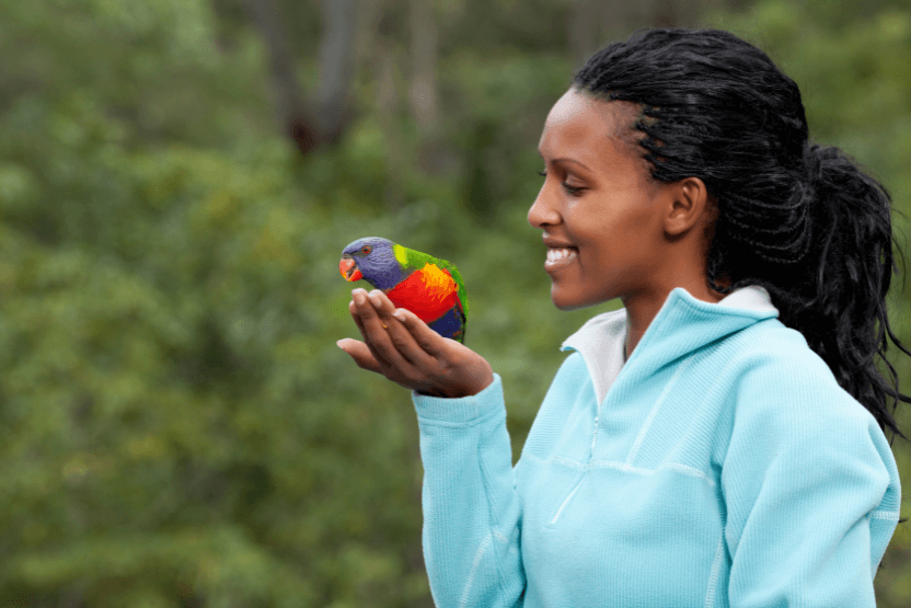 How to bond with my exotic birds
How to bond with parrots
Parrot bonding tips
Exotic bird training guide
Build trust with your parrot
The Parrots Exotic Store