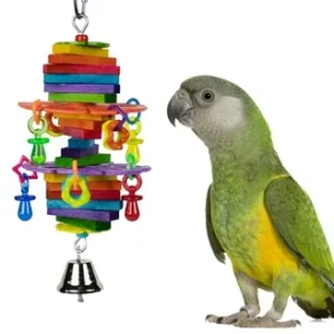 Bagel Cascade Toy, Parrot Foraging Toy, Bird Enrichment Toy, Interactive Parrot Toy, Natural Parrot Toy, Parrot Cage Toy, Small Parrot Toy, Medium Parrot Toy, Hagen HARI Toy, Smart Play Bird Toy, Indian Ringneck Toy, Conure Toy, Caique Toy, Senegal Parrot Toy, Quaker Parrot Toy, Cockatiel Toy, Exotic Bird Toy, Bird Toys for Parrots, Parrot Accessories, Bird Supplies, The Parrots Exotic Store Bagel Cascade Toy, Parrot Foraging Toy, Bird Enrichment Toy, Interactive Parrot Toy, Natural Parrot Toy, Parrot Cage Toy, Small Parrot Toy, Medium Parrot Toy, Hagen HARI Toy, Smart Play Bird Toy, Indian Ringneck Toy, Conure Toy, Caique Toy, Senegal Parrot Toy, Quaker Parrot Toy, Cockatiel Toy, Exotic Bird Toy, Bird Toys for Parrots, Parrot Accessories, Bird Supplies, The Parrots Exotic Store
