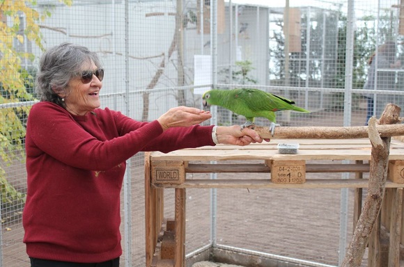 How to bond with my exotic birds How to bond with parrots Parrot bonding tips Exotic bird training guide Build trust with your parrot The Parrots Exotic Store