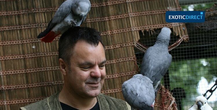 How to rehome your exotic birds Responsible parrot rehoming Safe exotic bird placement Ethical bird rehoming Parrot rehoming guidance The Parrots Exotic Store