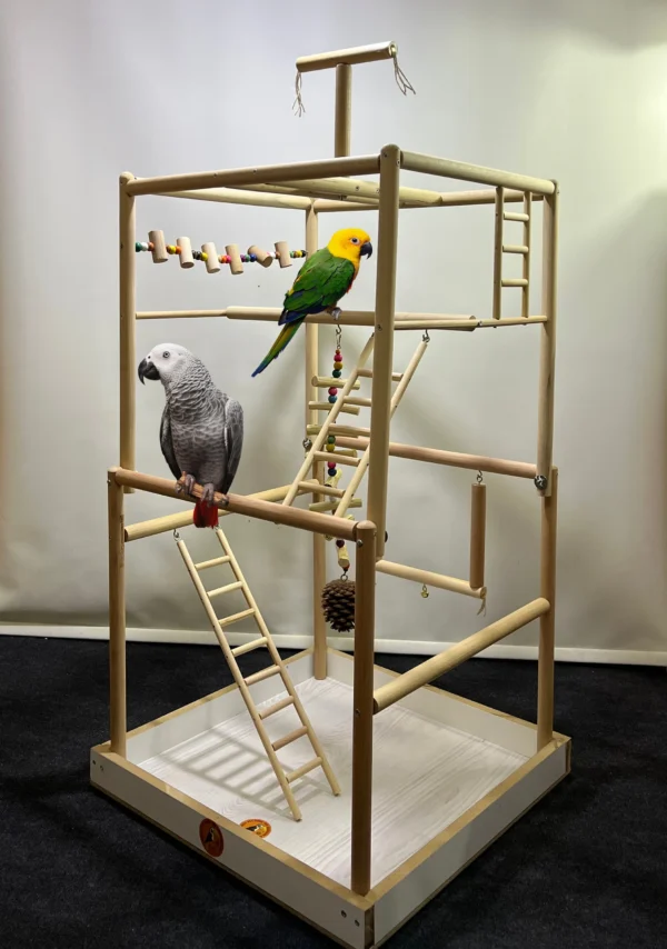 large parrot cage with gym, African Grey cage, Amazon parrot play cage, small to medium macaw cage, Cockatoo cage with toys, interactive parrot cage, The Parrots Exotic Store, durable parrot play cage, enrichment cage for parrots, powder-coated bird cage large parrot cage with gym, African Grey cage, Amazon parrot play cage, small to medium macaw cage, Cockatoo cage with toys, interactive parrot cage, The Parrots Exotic Store, durable parrot play cage, enrichment cage for parrots, powder-coated bird cage