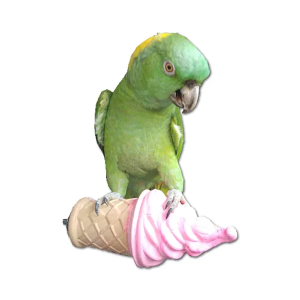 Lg Cinnamon Ice Cream Perch, Polly’s, Large Parrot Perch, Cinnamon Parrot Perch, Beak Conditioning Perch, Parrot Cage Perch, Medium Parrot Perch, Bird Safe Perch, The Parrots Exotic Store Lg Cinnamon Ice Cream Perch, Polly’s, Large Parrot Perch, Cinnamon Parrot Perch, Beak Conditioning Perch, Parrot Cage Perch, Medium Parrot Perch, Bird Safe Perch, The Parrots Exotic Store