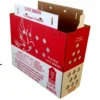 1pk Live Bird Shipping Boxes – USPS Approved
