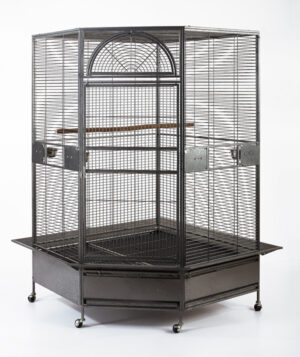 large parrot cage, medium bird aviary, African Grey parrot habitat, Amazon parrot cage, cockatoo aviary, Macaw cage, indoor outdoor bird cage, parrot enrichment cage, The Parrots Exotic Store, durable bird cage