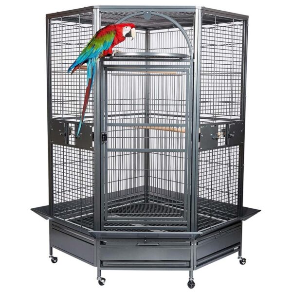 large parrot cage, corner parrot cage, spacious bird cage, durable parrot home, medium-large parrot habitat, The Parrots Exotic Store cages large parrot cage, corner parrot cage, spacious bird cage, durable parrot home, medium-large parrot habitat, The Parrots Exotic Store cages