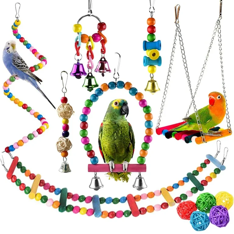 Parrot Toys & Accessories for Sale: Best Toys for Mental Stimulation