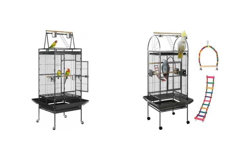best parrot cage 2026